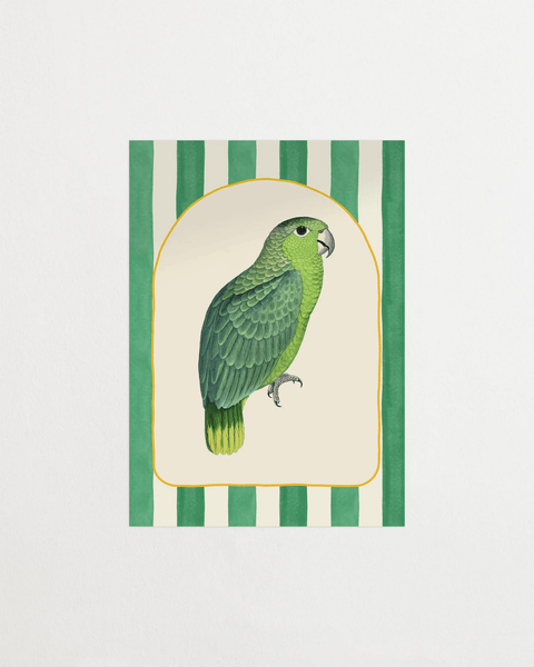 Parrot Lounge - FrenzyFrame