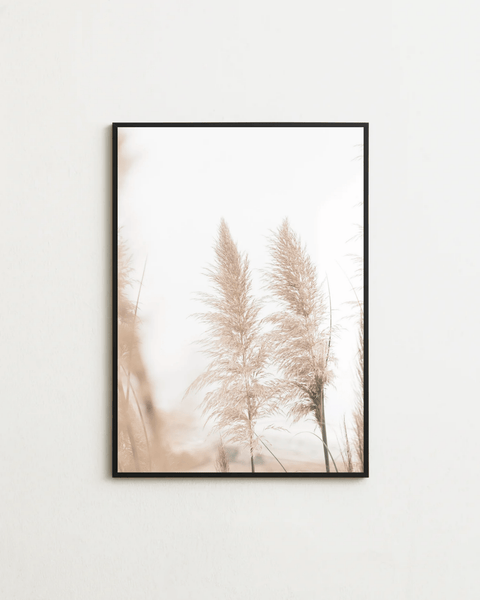 Pampas Breeze - FrenzyFrame