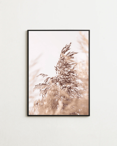 Grains of Air - FrenzyFrame