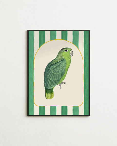 Parrot Lounge - FrenzyFrame