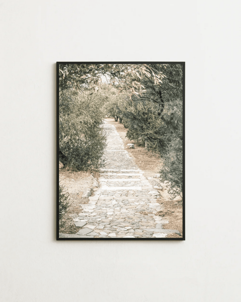 The Quiet Path - FrenzyFrame