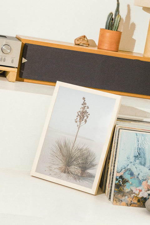 Desert Bloom - FrenzyFrame