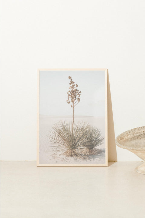 Desert Bloom - FrenzyFrame