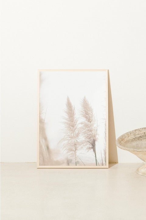 Pampas Breeze - FrenzyFrame