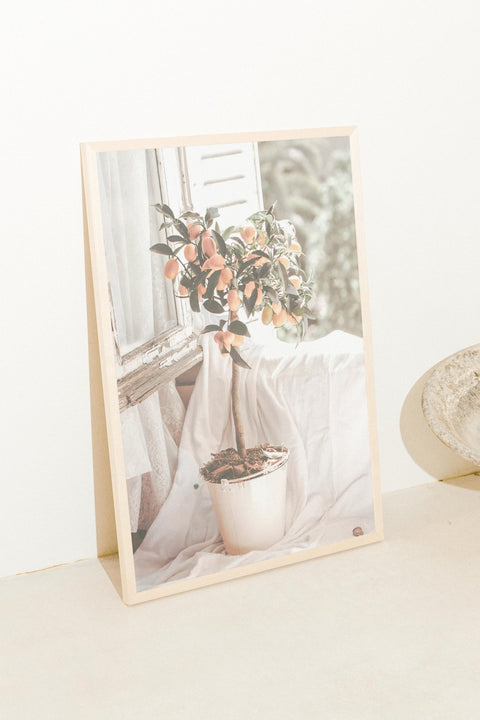 Casa Citrus - FrenzyFrame