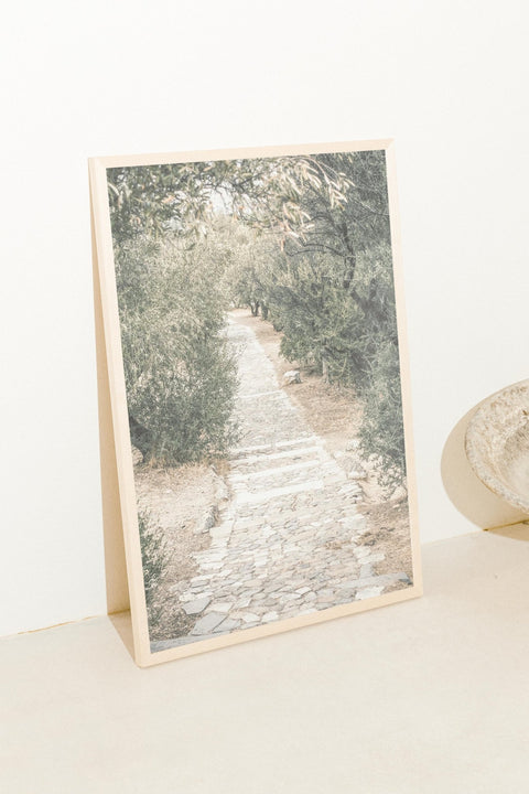 The Quiet Path - FrenzyFrame