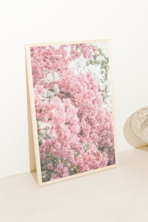 Pink Bloom - FrenzyFrame