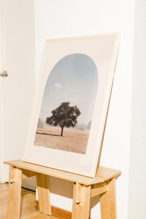 Desert Soul - FrenzyFrame