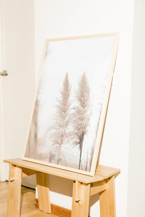 Pampas Breeze - FrenzyFrame