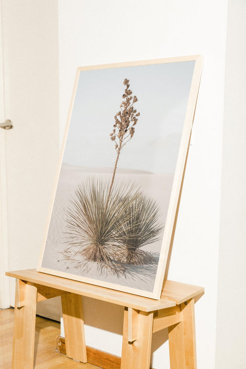 Desert Bloom - FrenzyFrame