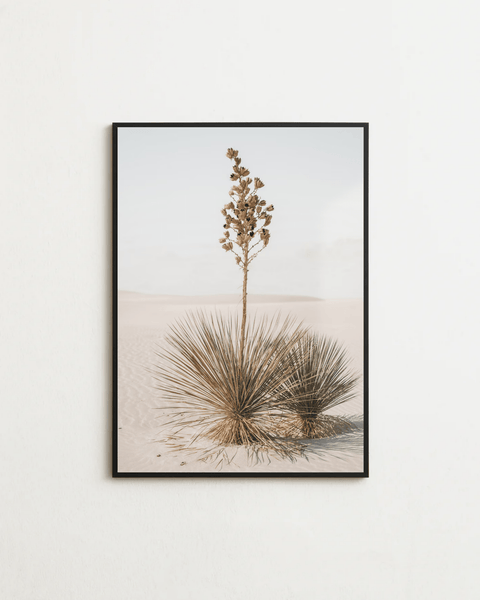 Desert Bloom - FrenzyFrame