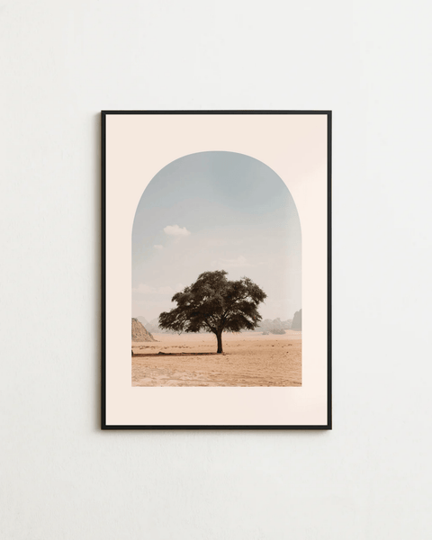 Desert Soul - FrenzyFrame