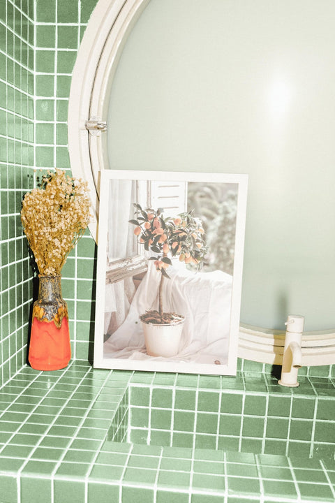 Casa Citrus - FrenzyFrame