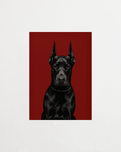 Don't Pet Me - FrenzyFrame