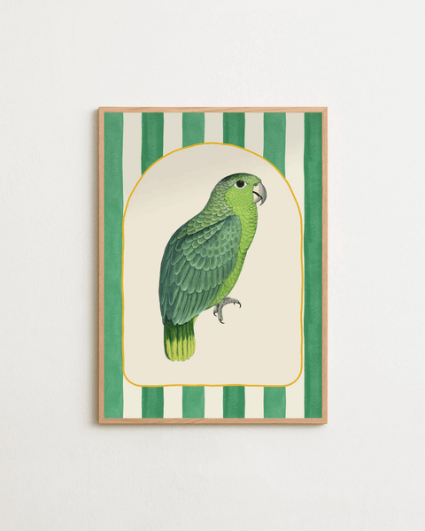 Parrot Lounge - FrenzyFrame