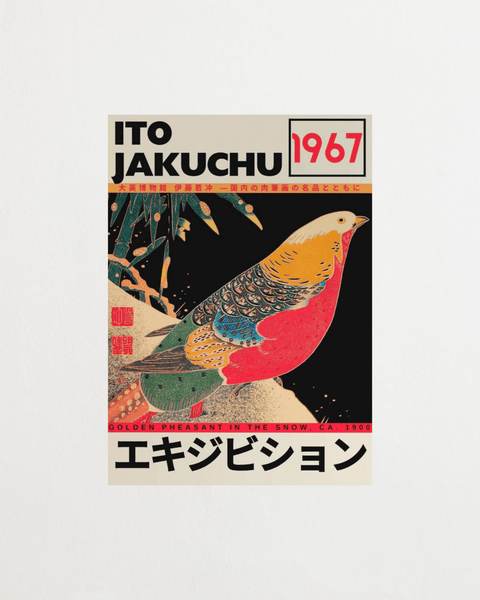 Golden Flash - FrenzyFrame