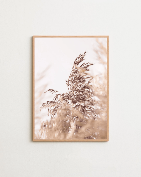 Grains of Air - FrenzyFrame