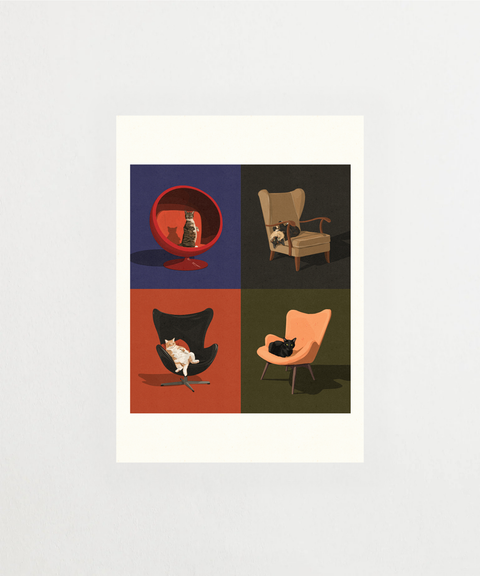 Cats In Chairs