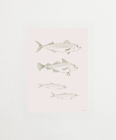 GBGs FISK