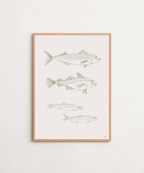 GBGs FISK