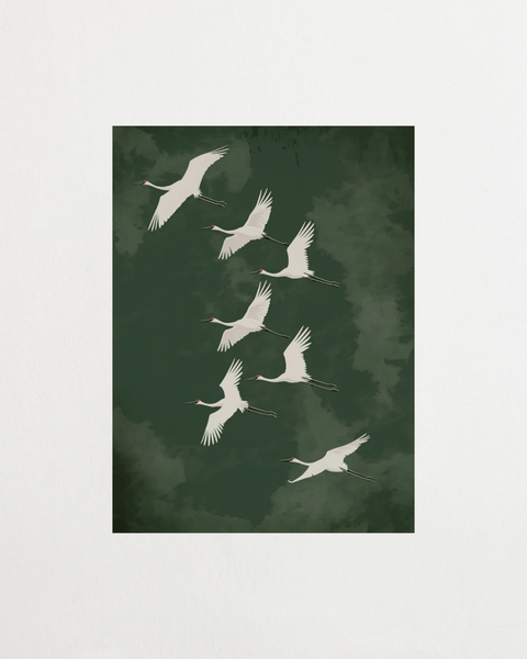 Seven Seekers - FrenzyFrame