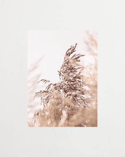 Grains of Air - FrenzyFrame