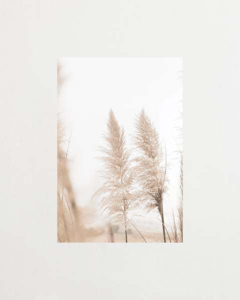 Pampas Breeze - FrenzyFrame