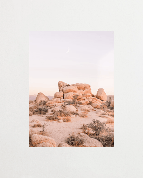 Moonrise Over Dust - FrenzyFrame