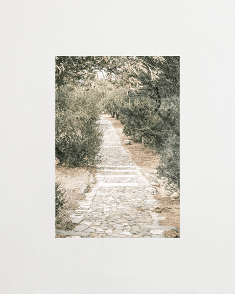 The Quiet Path - FrenzyFrame