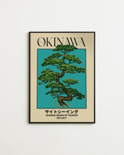 Okinawa - FrenzyFrame
