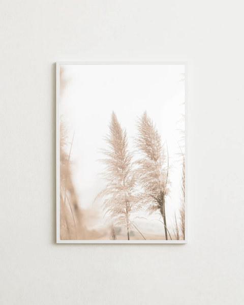 Pampas Breeze - FrenzyFrame