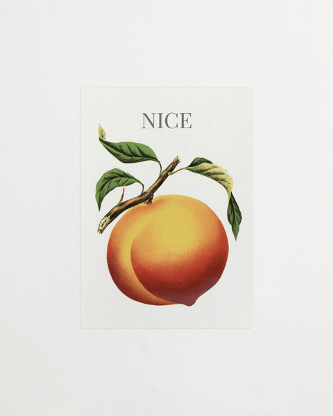 NICE poster med text – FrenzyFrame