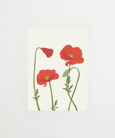POPPY