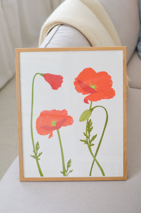 POPPY