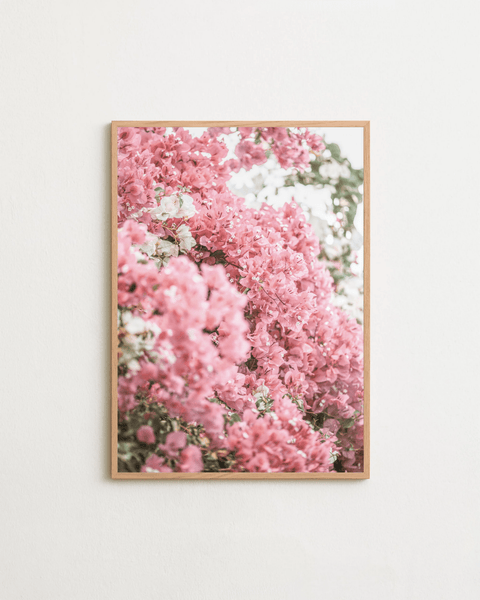 Pink Bloom - FrenzyFrame