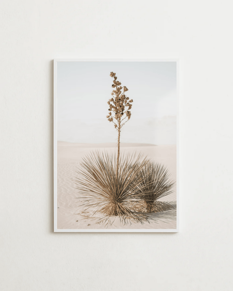 Desert Bloom - FrenzyFrame