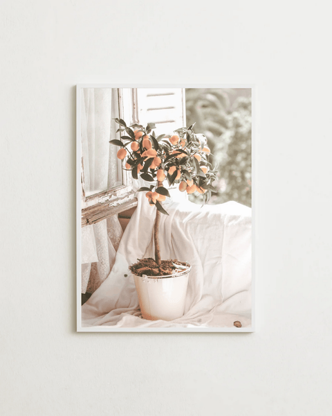 Casa Citrus - FrenzyFrame