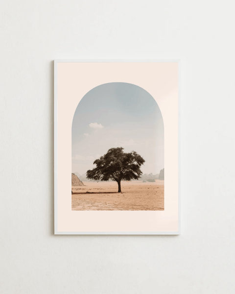 Desert Soul - FrenzyFrame