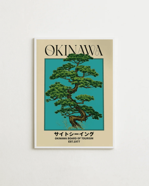Okinawa - FrenzyFrame