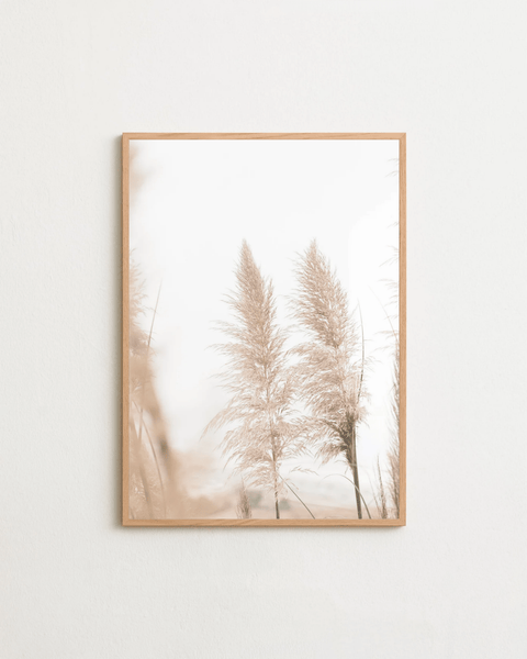 Pampas Breeze - FrenzyFrame