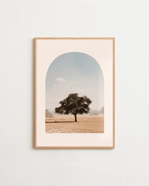 Desert Soul - FrenzyFrame