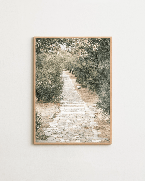 The Quiet Path - FrenzyFrame